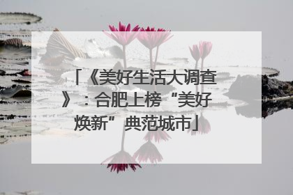 《美好生活大调查》：合肥上榜“美好焕新”典范城市