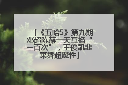 《五哈5》第九期邓超陈赫一天互掐“三百次”，王俊凯韭菜舞超魔性
