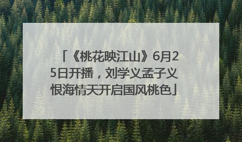 《桃花映江山》6月25日开播，刘学义孟子义恨海情天开启国风桃色