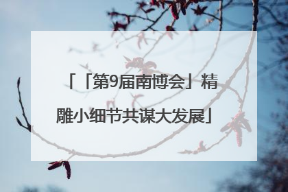 「第9届南博会」精雕小细节共谋大发展