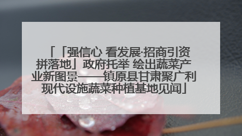 「强信心 看发展·招商引资拼落地」政府托举 绘出蔬菜产业新图景——镇原县甘肃聚广利现代设施蔬菜种植基地见闻
