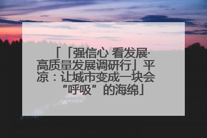 「强信心 看发展·高质量发展调研行」平凉：让城市变成一块会“呼吸”的海绵
