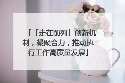 「走在前列」创新机制，凝聚合力，推动执行工作高质量发展