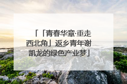 「青春华章·重走西北角」返乡青年谢凯龙的绿色产业梦