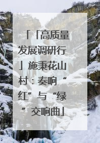 「高质量发展调研行」施秉花山村：奏响“红”与“绿”交响曲