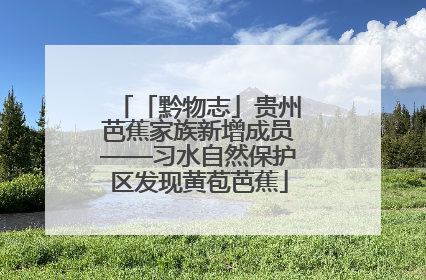 「黔物志」贵州芭蕉家族新增成员——习水自然保护区发现黄苞芭蕉