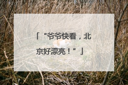 “爷爷快看，北京好漂亮！”
