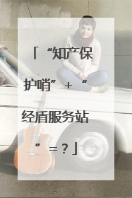 “知产保护哨”+“经盾服务站”=？