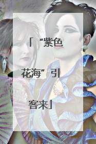 “紫色花海”引客来