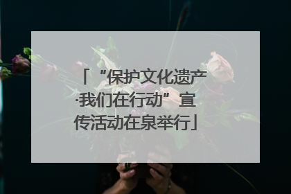 “保护文化遗产·我们在行动”宣传活动在泉举行