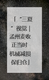 “三夏”视觉｜孟州麦收正当时 机械减损保归仓