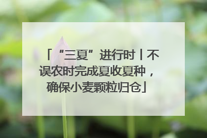 “三夏”进行时丨不误农时完成夏收夏种，确保小麦颗粒归仓