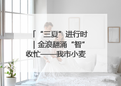 “三夏”进行时｜金浪翻涌“智”收忙——我市小麦开镰收割见闻