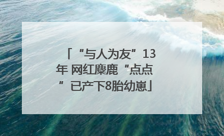 “与人为友”13年 网红麋鹿“点点”已产下8胎幼崽