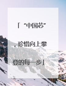 “中国芯”，珍惜向上攀登的每一步