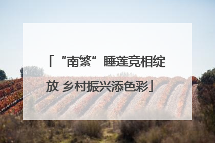 “南繁”睡莲竞相绽放 乡村振兴添色彩