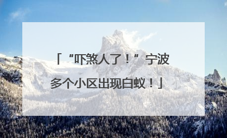 “吓煞人了！”宁波多个小区出现白蚁！