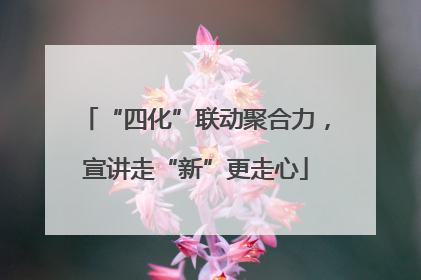 “四化”联动聚合力，宣讲走“新”更走心