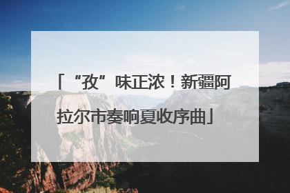 “孜”味正浓！新疆阿拉尔市奏响夏收序曲