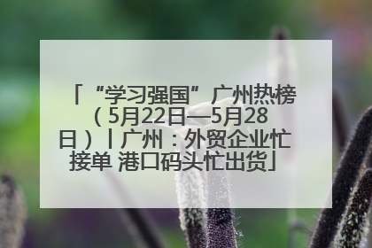 “学习强国”广州热榜（5月22日—5月28日）丨广州：外贸企业忙接单 港口码头忙出货