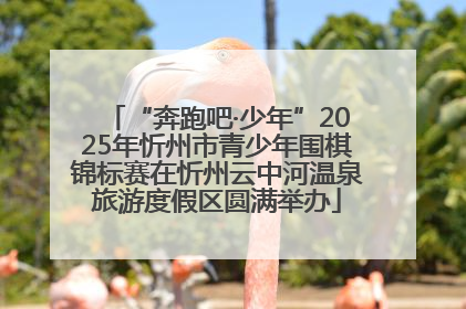 “奔跑吧·少年”2025年忻州市青少年围棋锦标赛在忻州云中河温泉旅游度假区圆满举办