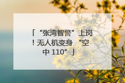 “张湾智警”上岗！无人机变身 “空中 110”