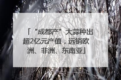 “成都产”大蒜种出超2亿元产值，远销欧洲、非洲、东南亚