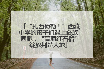 “扎西德勒！”西藏中学的孩子们遇上藏族同胞，“高原红石榴”绽放荆楚大地