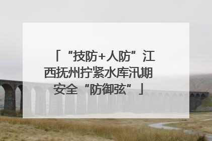 “技防+人防”江西抚州拧紧水库汛期安全“防御弦”