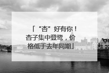“杏”好有你！杏子集中登鹭，价格低于去年同期