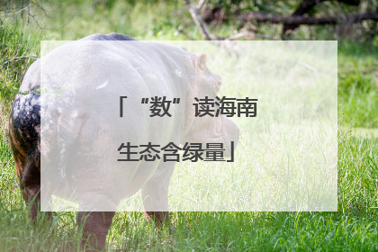 “数”读海南生态含绿量