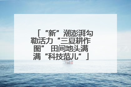 “新”潮澎湃勾勒活力“三夏耕作图” 田间地头满满“科技范儿”