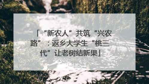 “新农人”共筑“兴农路”：返乡大学生“桃三代”让老树结新果