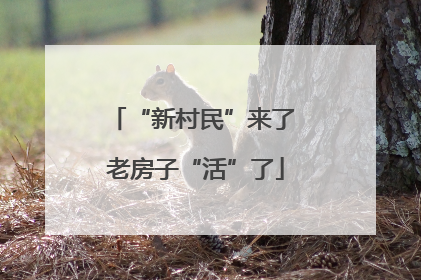 “新村民”来了 老房子“活”了