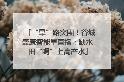 “旱”路突围！谷城盛康智能旱直播：缺水田“喝”上高产水