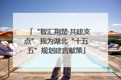 “智汇荆楚·共建支点” 我为湖北“十五五”规划建言献策