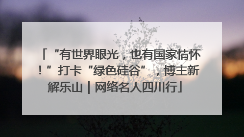 “有世界眼光，也有国家情怀！”打卡“绿色硅谷”，博主新解乐山｜网络名人四川行