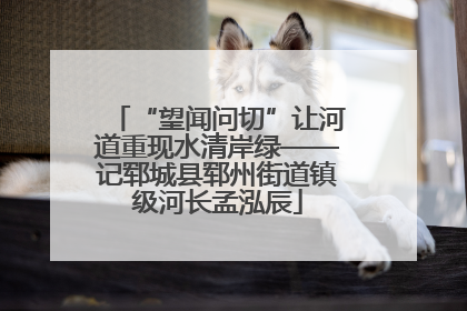 “望闻问切”让河道重现水清岸绿——记郓城县郓州街道镇级河长孟泓辰