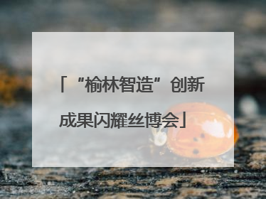 “榆林智造”创新成果闪耀丝博会