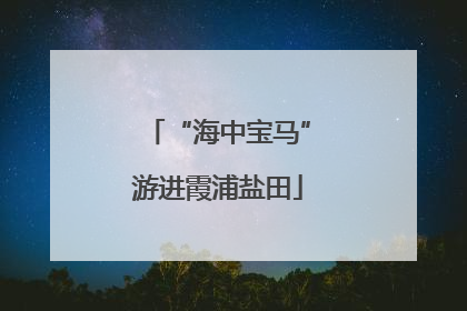 “海中宝马”游进霞浦盐田