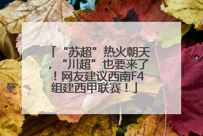 “苏超”热火朝天，“川超”也要来了！网友建议西南F4组建西甲联赛！