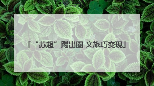 “苏超”踢出圈 文旅巧变现
