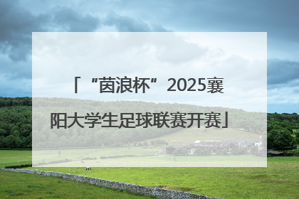 “茵浪杯”2025襄阳大学生足球联赛开赛