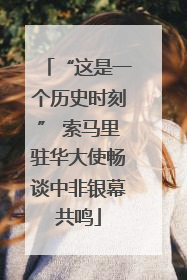 “这是一个历史时刻” 索马里驻华大使畅谈中非银幕共鸣