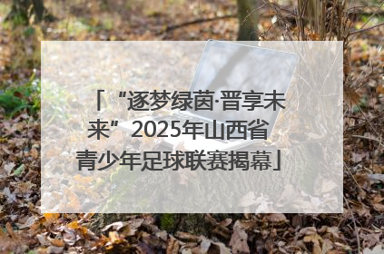 “逐梦绿茵·晋享未来”2025年山西省青少年足球联赛揭幕