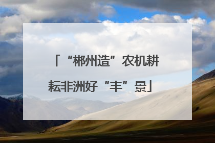 “郴州造”农机耕耘非洲好“丰”景
