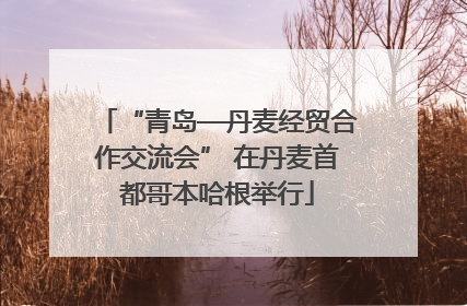 “青岛—丹麦经贸合作交流会” 在丹麦首都哥本哈根举行