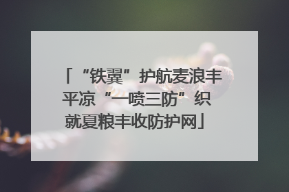 “铁翼”护航麦浪丰 平凉“一喷三防”织就夏粮丰收防护网
