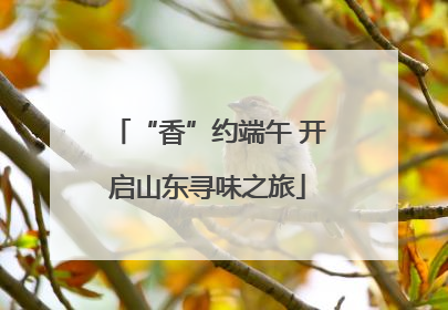 “香”约端午 开启山东寻味之旅