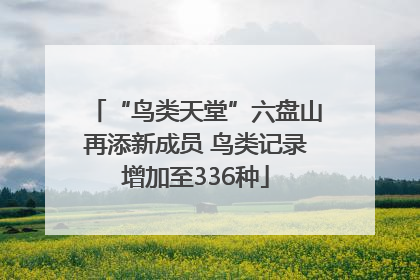“鸟类天堂”六盘山再添新成员 鸟类记录增加至336种